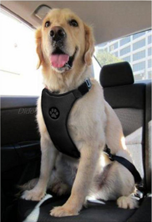 Dog Soft Nylon Mesh Car Safety Seat Harness For Medium Large Dogs